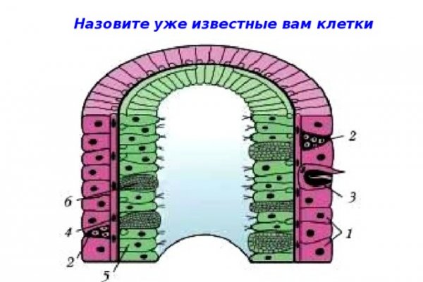 Solaris даркнет