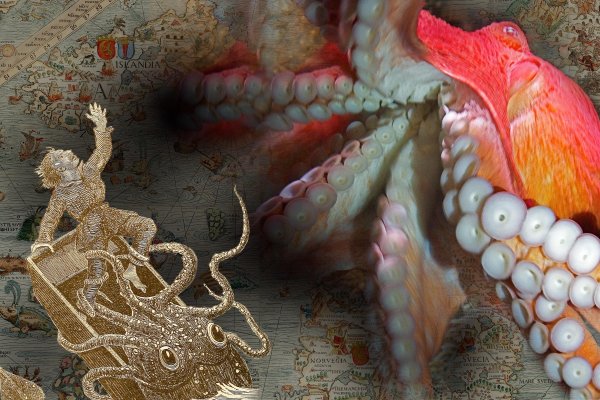 Сайт кракен магазин kraken2 tor2 xyz