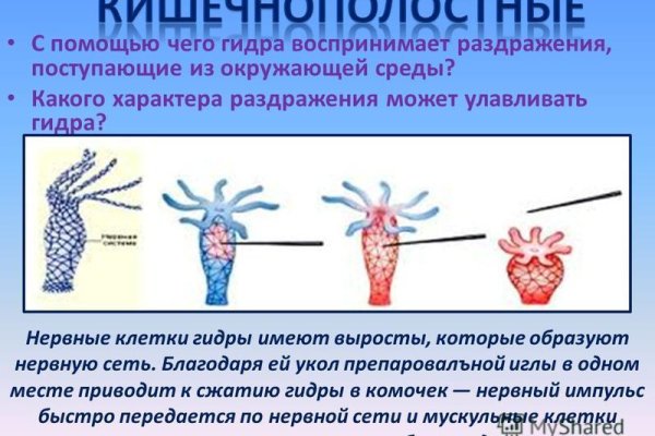 Ссылка на кракен тор kraken2 4aa337