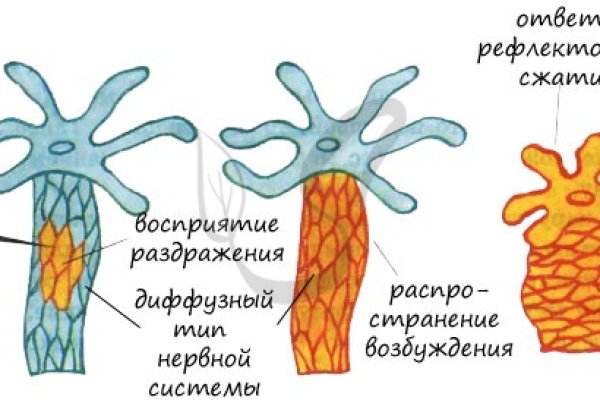 Кракен без впн